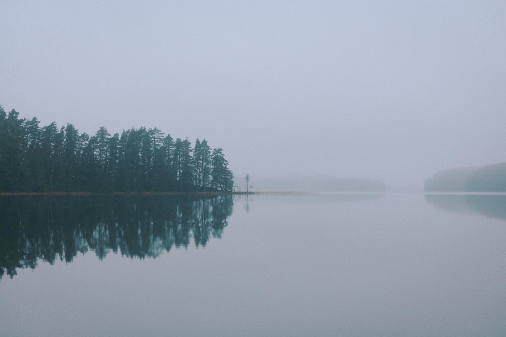 A lake in the fog. Green trees and the gray sky are reflected in the calm water.