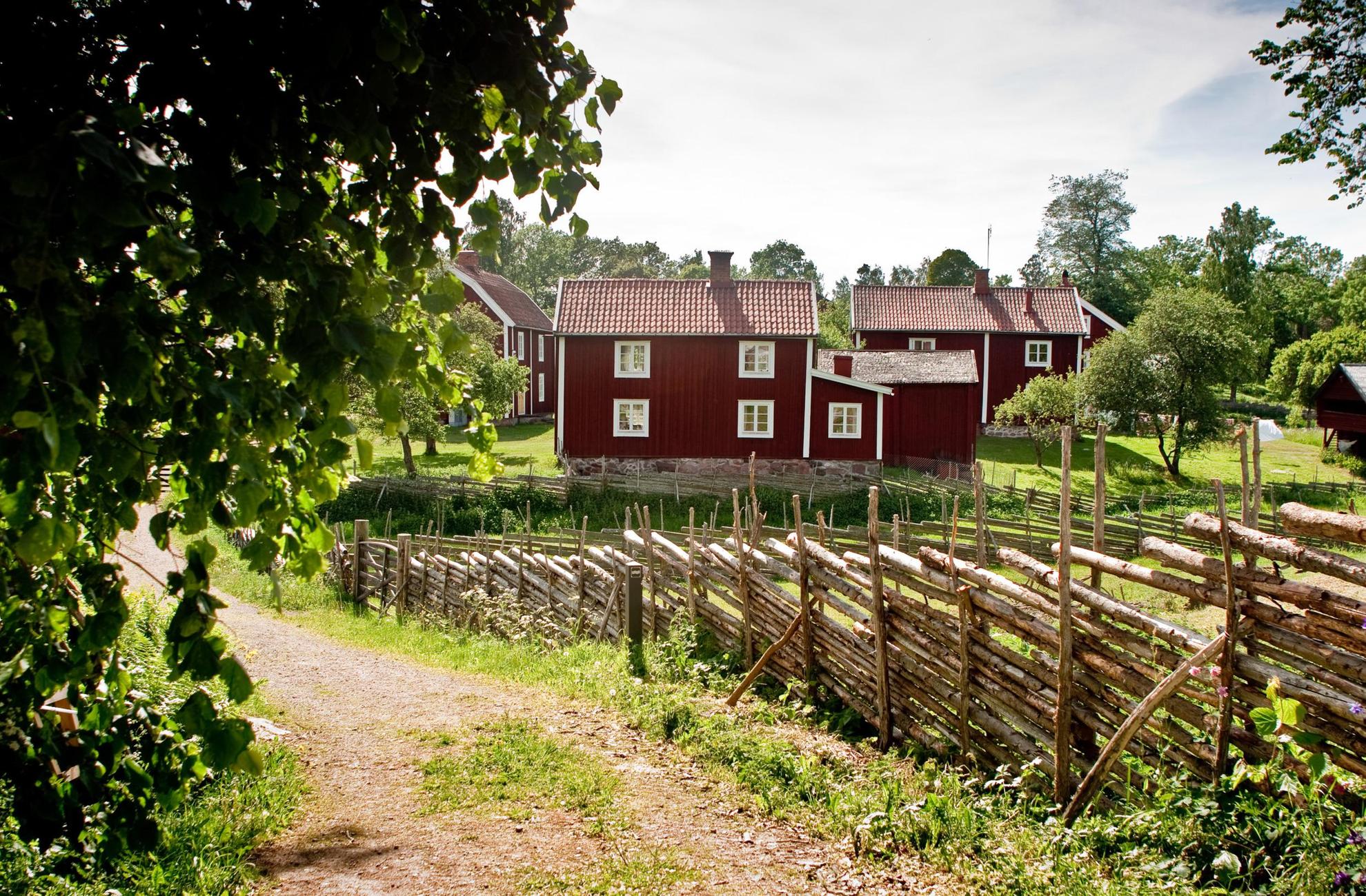 Eine Reihe typischer Landhäuser, rot gestrichen mit weißen Verzierungen, und ein altmodischer Zaun aus dünnen Kiefern.