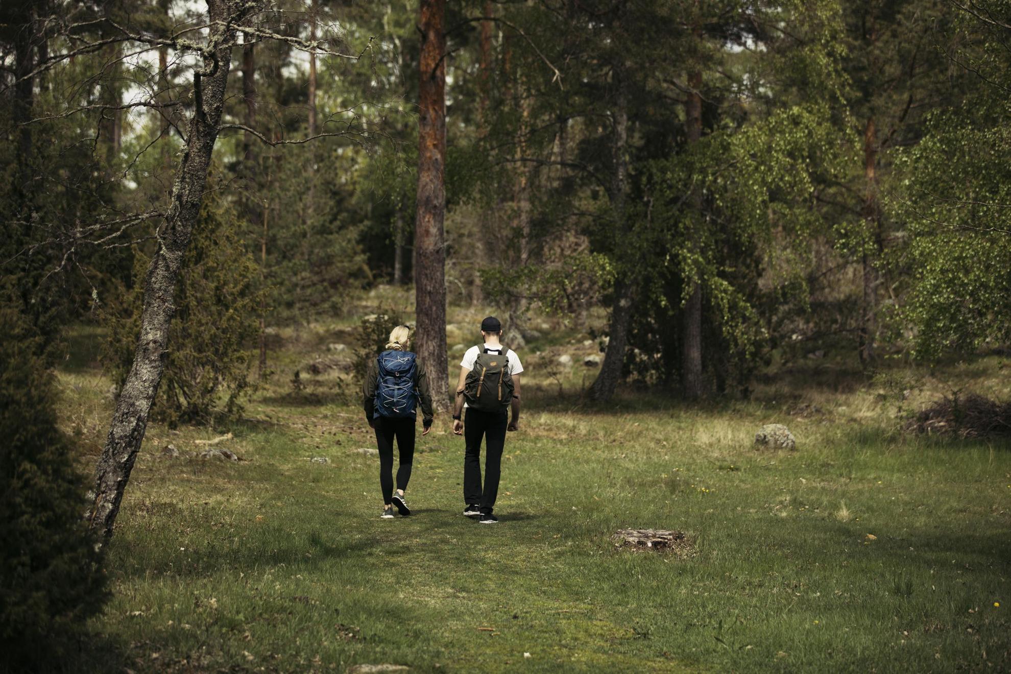 Zwei Personen mit Rucksäcken gehen auf einer Wiese im Grünen auf dem Kalmarsundsleden Wanderwegspazieren.