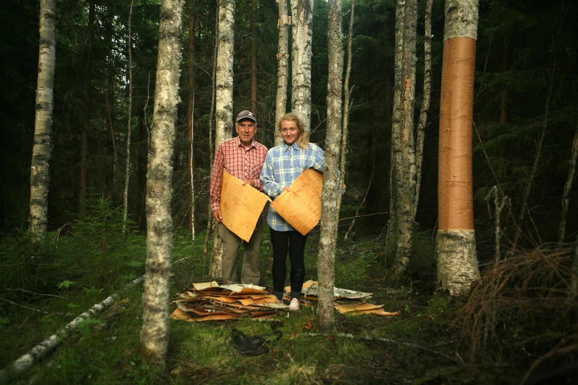 In a forest, a man and a woman are holding onto large pieces of birch bark, with more pieces down on the ground.