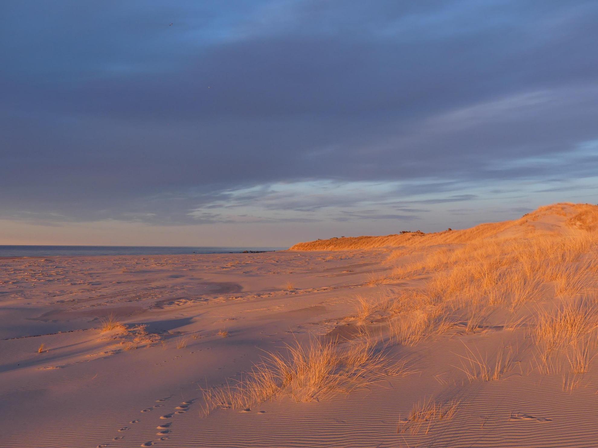 Die Dünen am Bredsand Gotska Sandön am Meer. Die Sonne geht unter und erleuchtet die Dünen in seinem goldroten Licht.