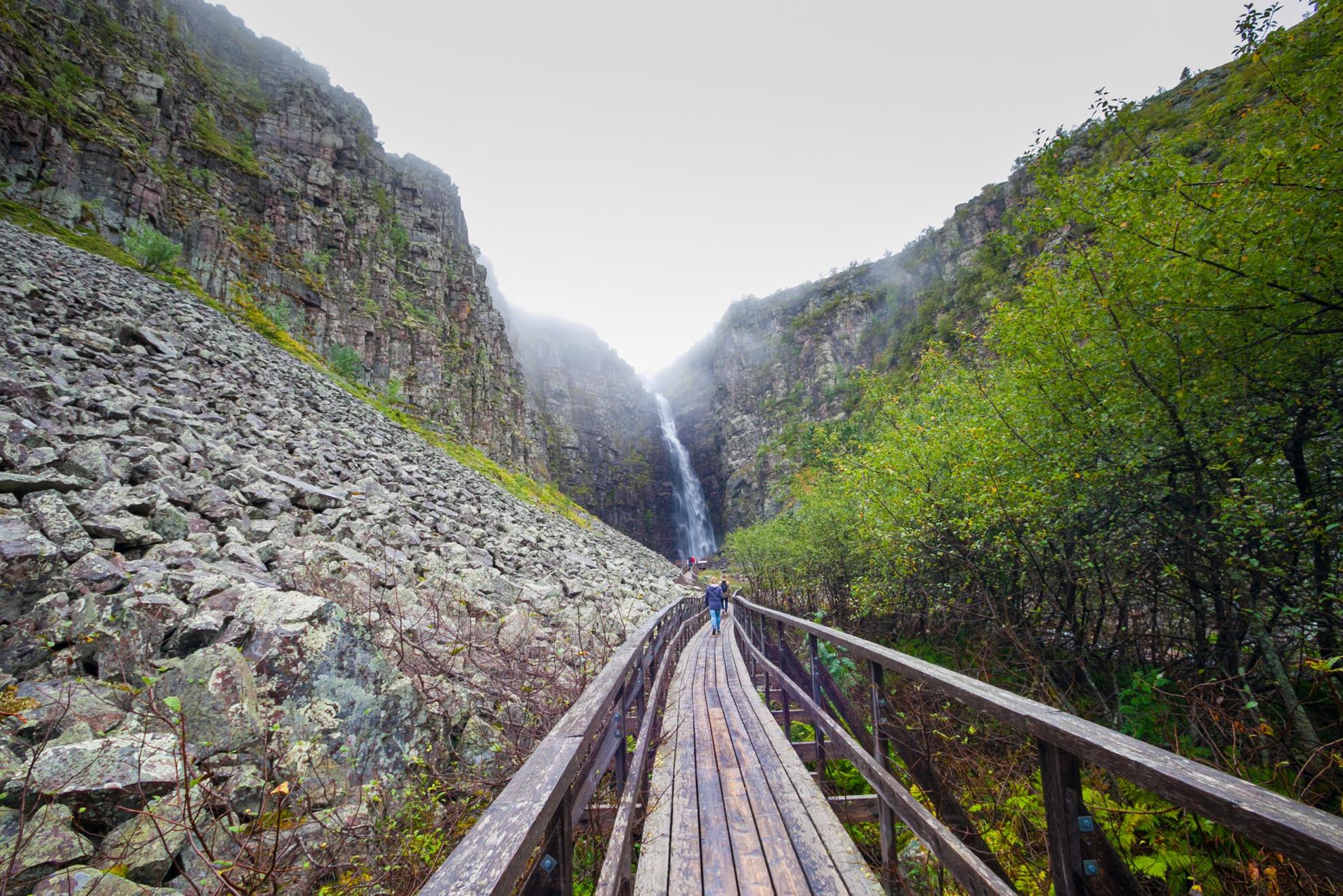 Der Holzsteg im Nationalpark Fulufjället führt zur Aussichtsplatform des Njupeskär Wasserfalls.