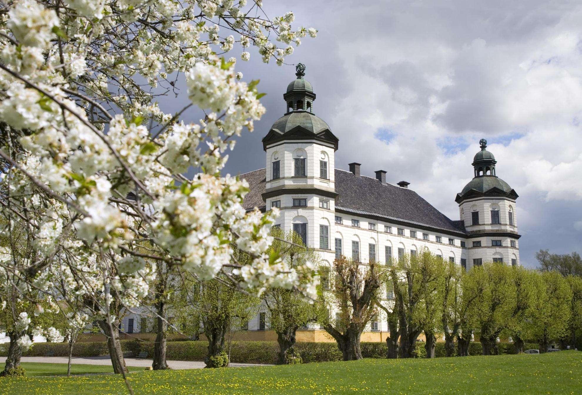 Schloss Skokloster in Uppland im Frühling. Die Bäume stehen in ihrer Blüte und das helle grün hebt das weiße Schloss hervor.