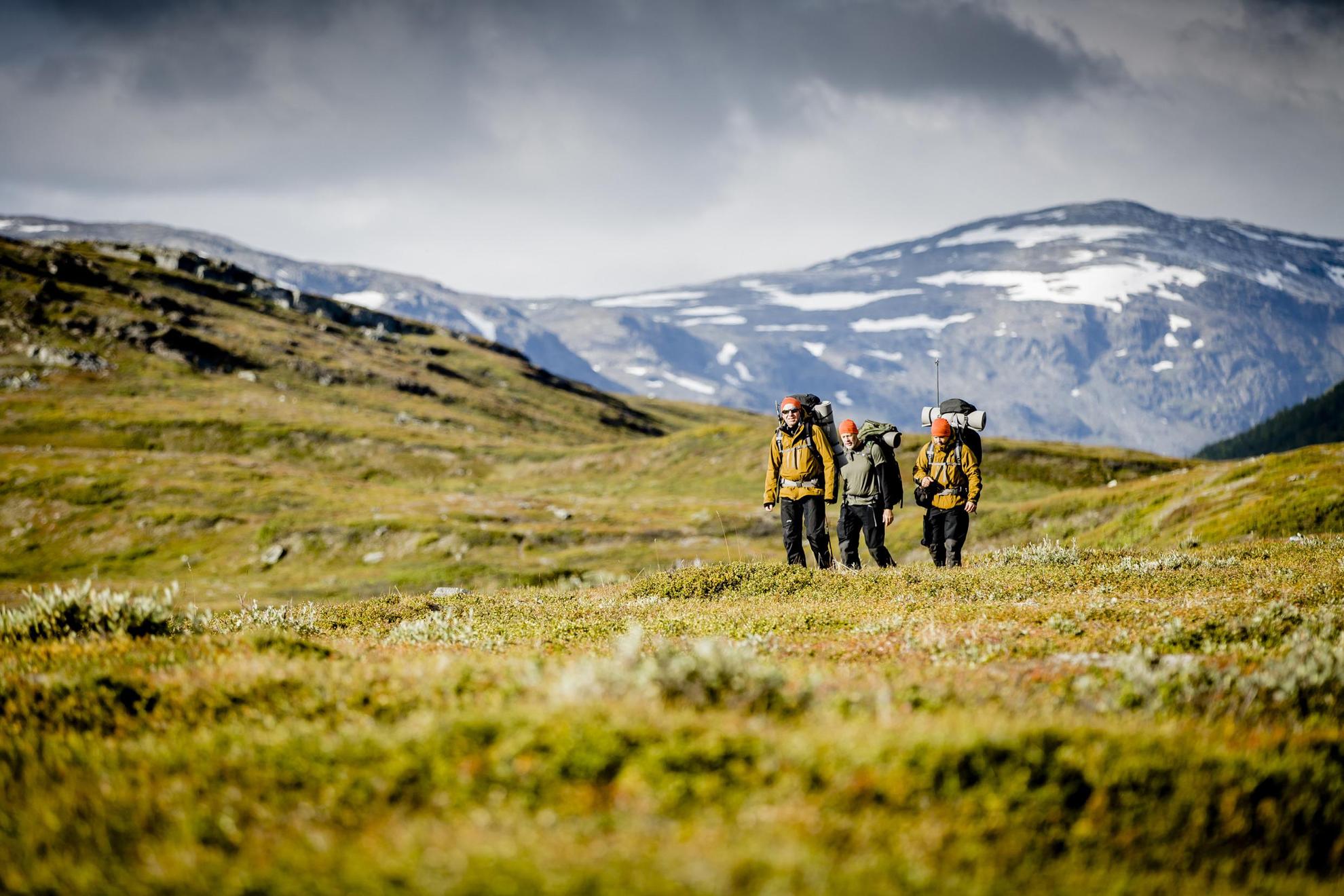Drei Personen mit Wanderausrüstung und Rucksäcken beim Wandern in der Tundra.