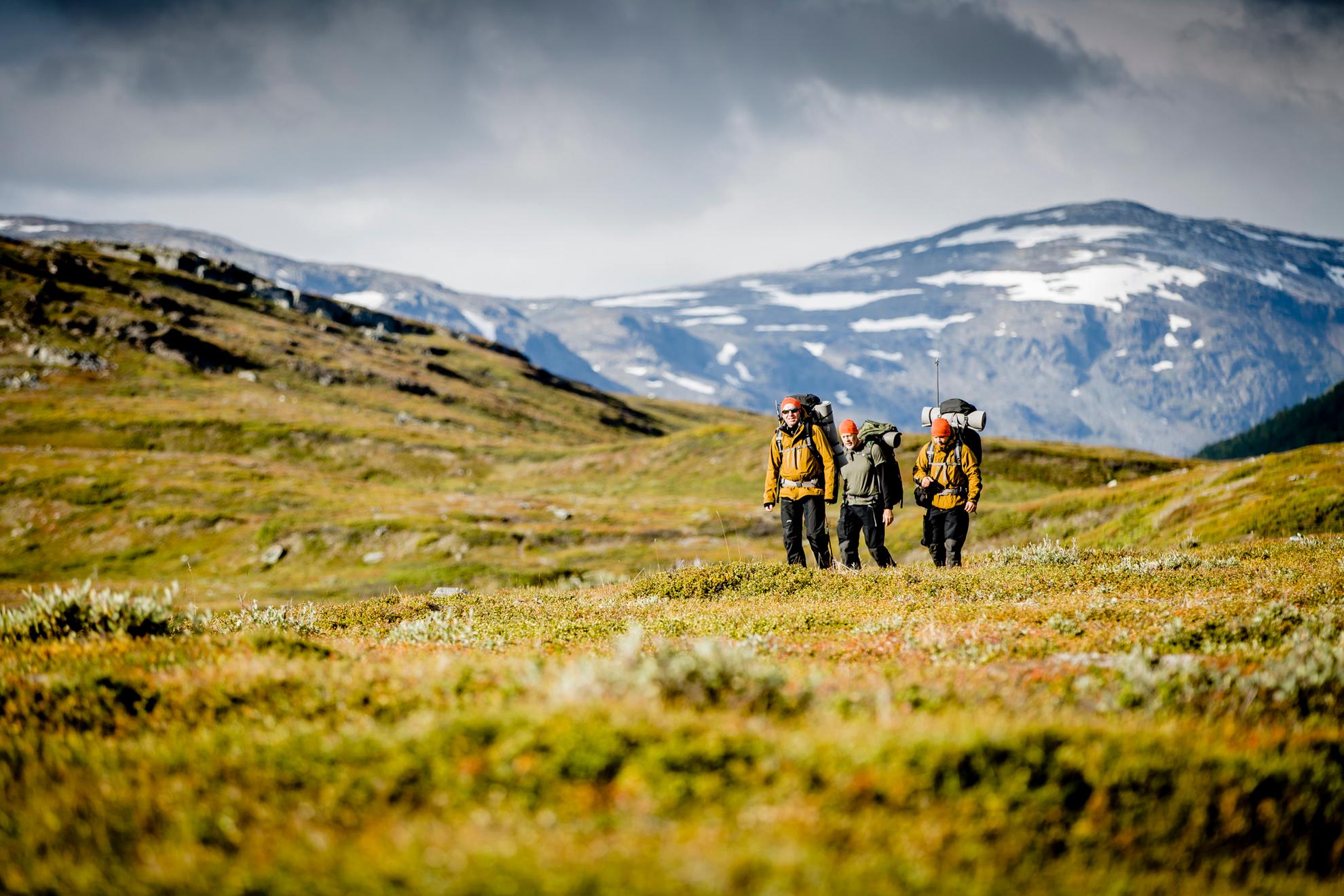 Drei Personen mit Wanderausrüstung und Rucksäcken wandern durch die Tundra.