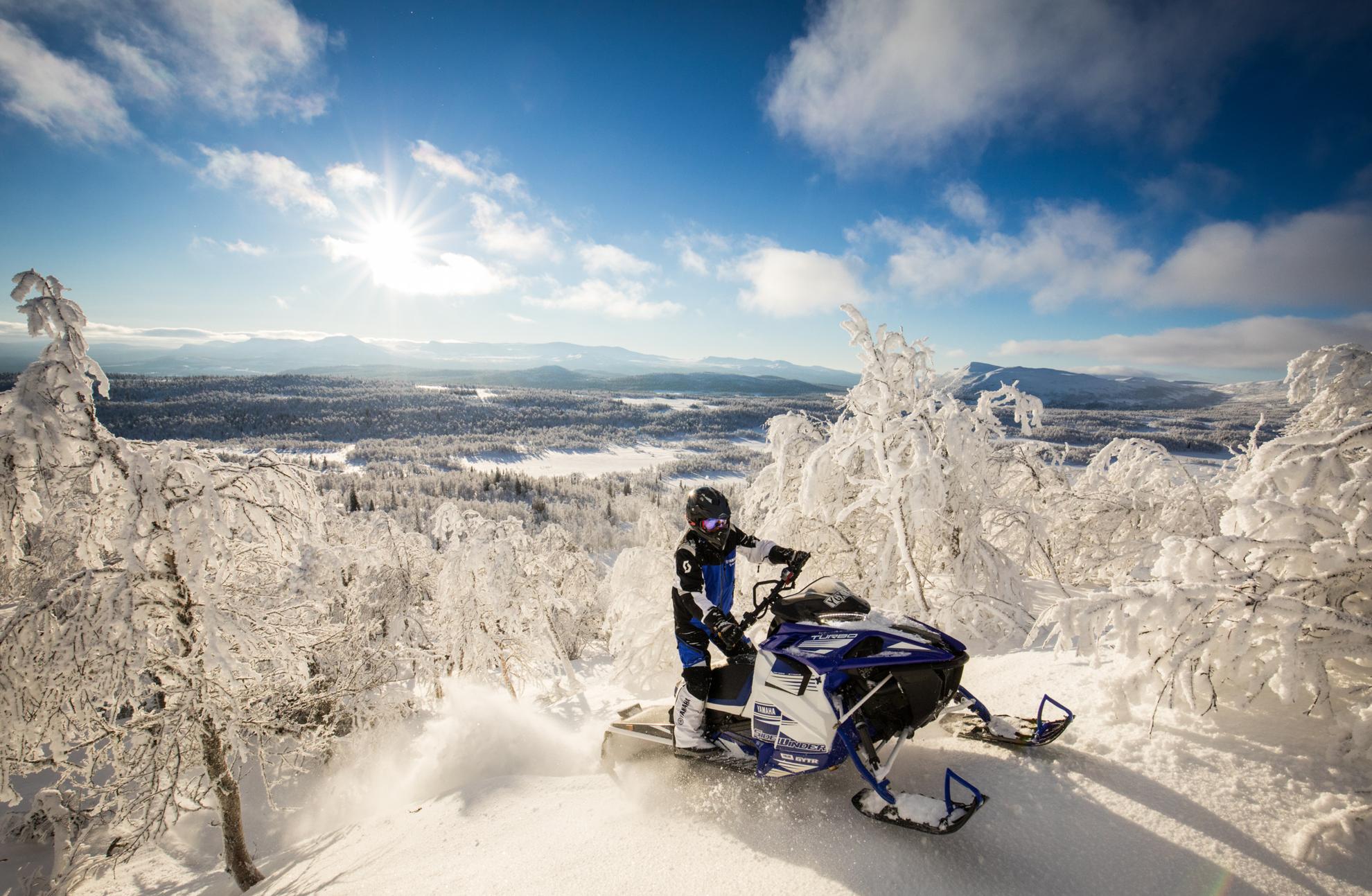 Eine Person fährt auf einem Schneemobil durch Schwedens Winterlandschaft. Es ist sonnig und überall liegt Schnee.