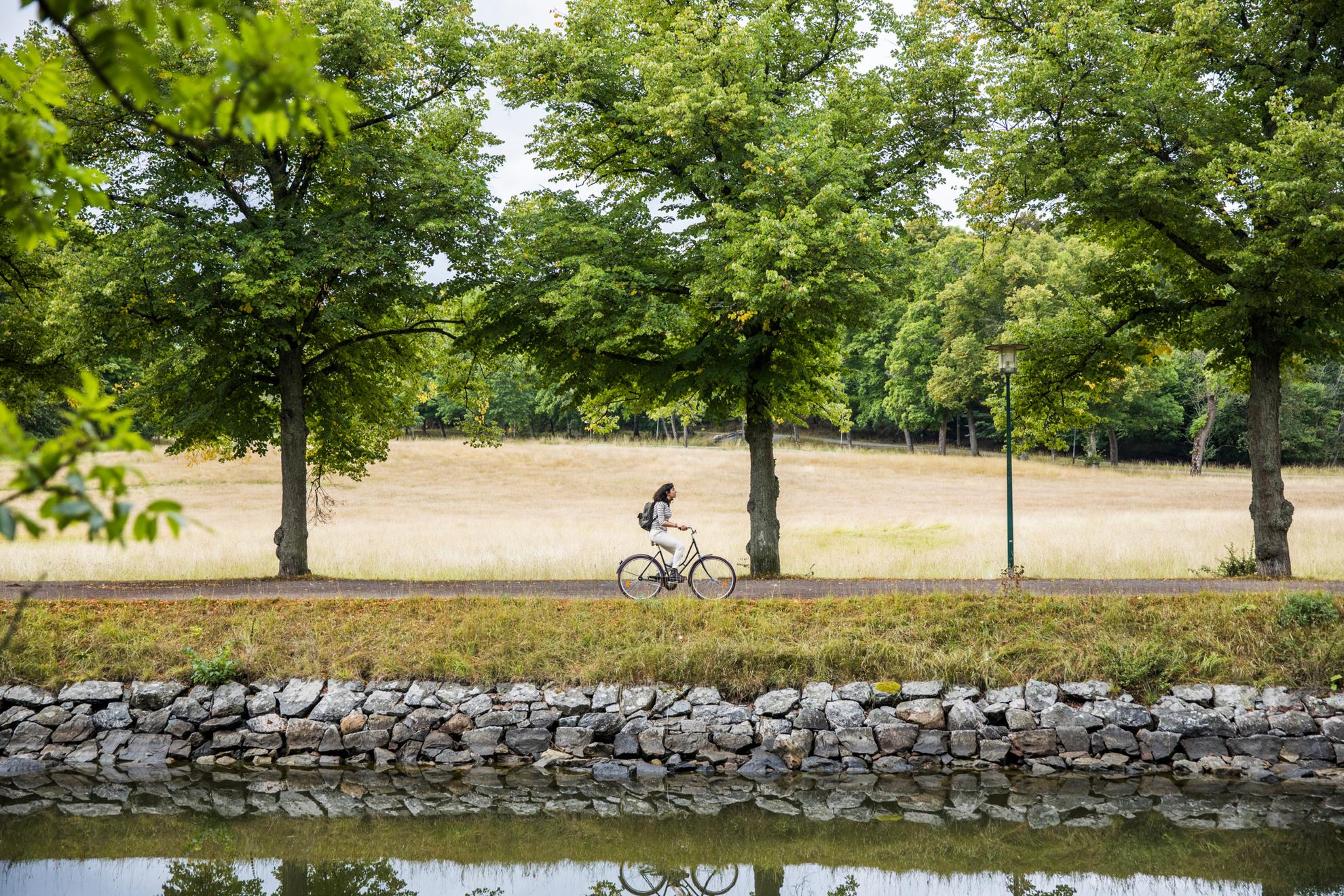 Eine Frau fährt mit dem Fahrrad entlang eines Kanals im Park Djurgården. Entlang der Straße gibt es Bäume und eine Wiese.