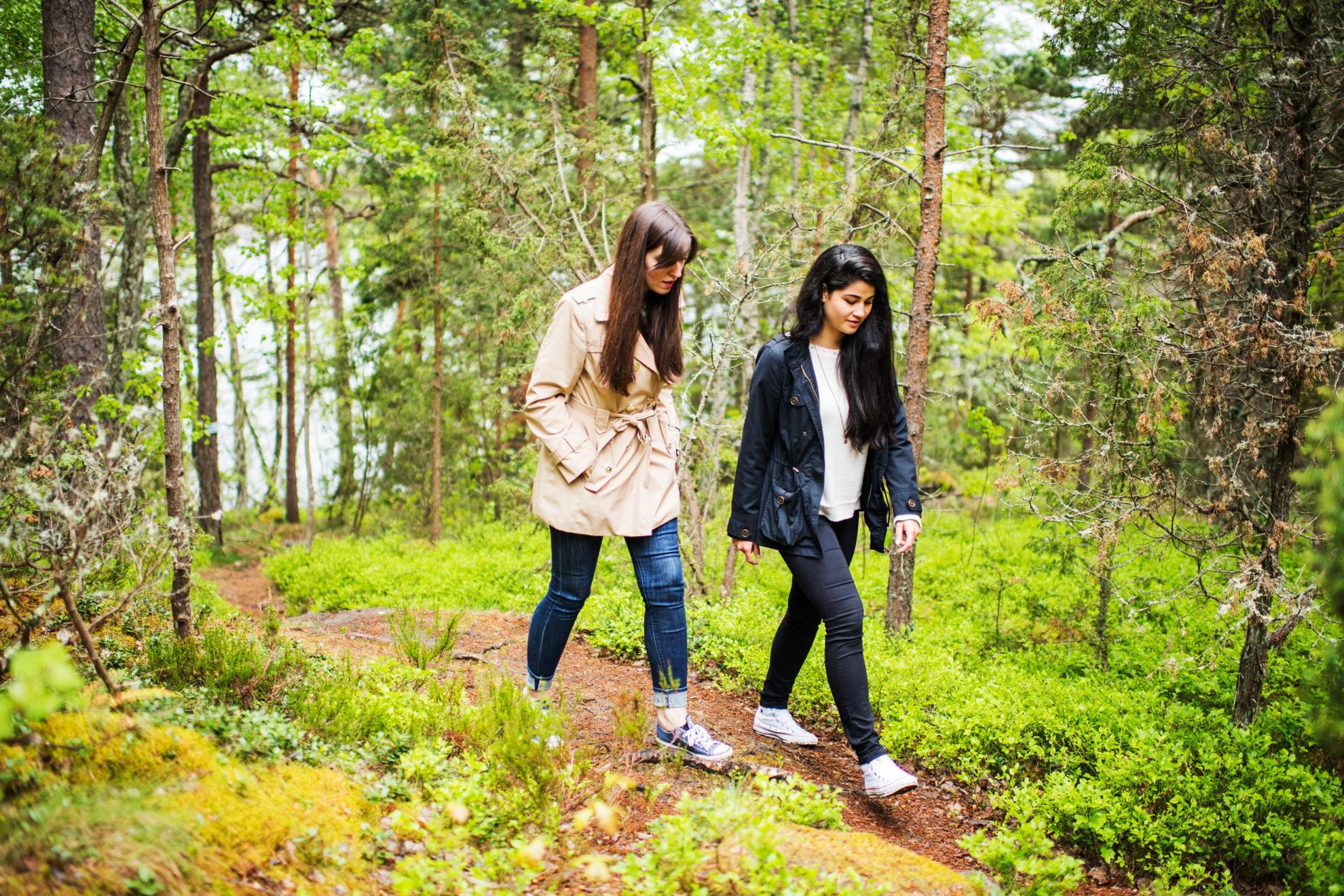 Two women in Sweden are walking on a path through a lush forest.