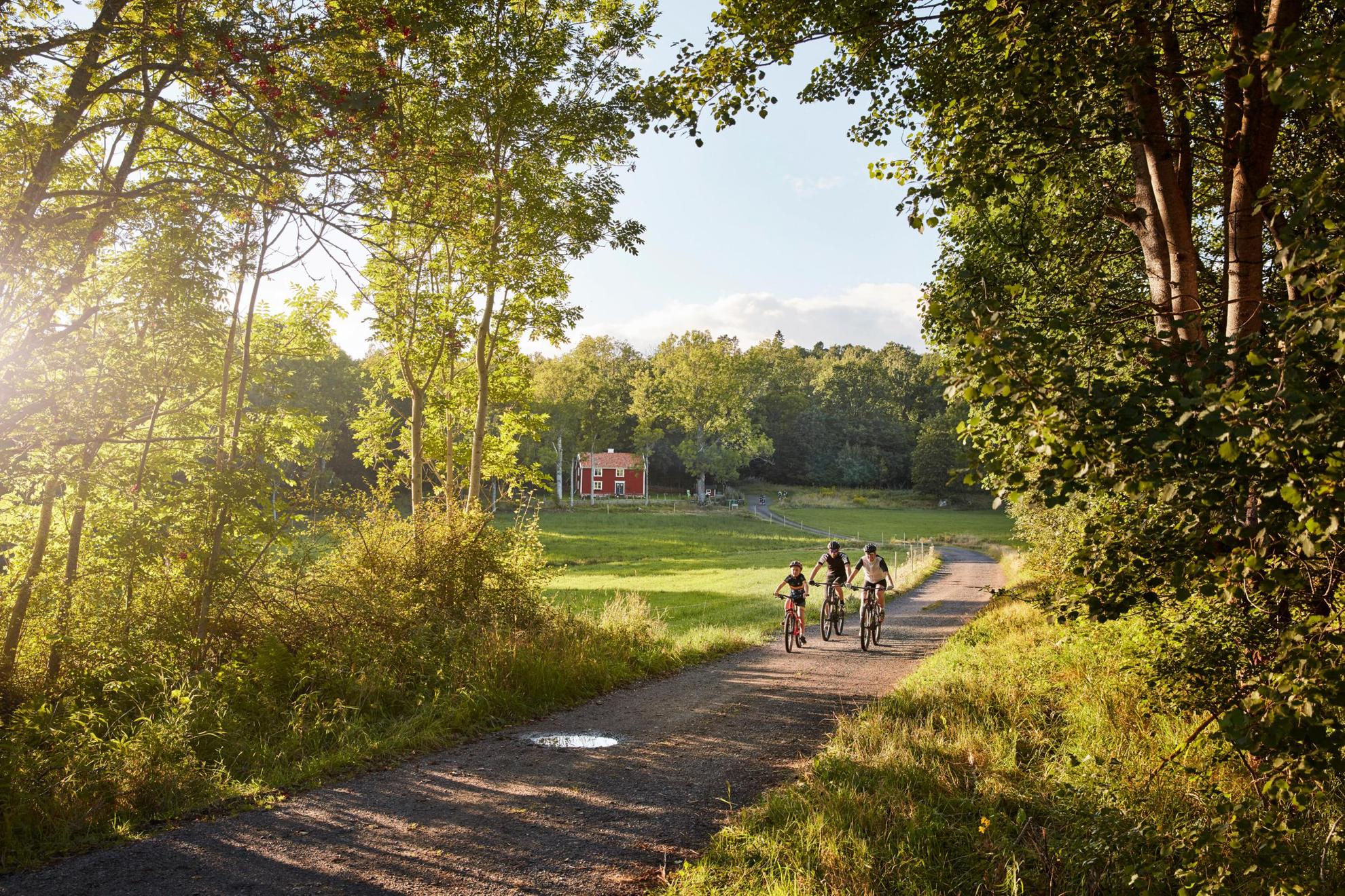 An einem sonnigen Sommertag fährt eine Familie entlang eines roten Hauses durch einen grünen Wald mit dem Fahrrad.