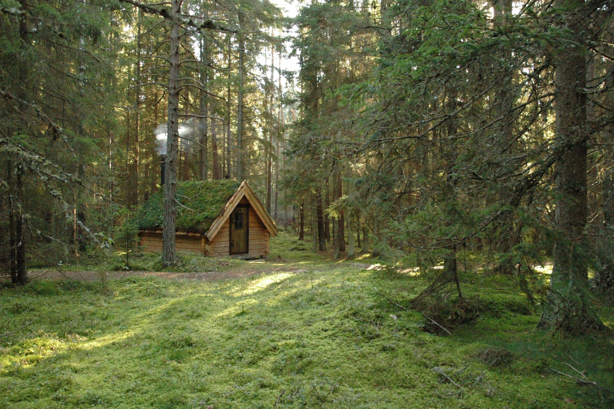 Eine strohbedeckte Hütte im Wald in Schweden - das ist das Urnatur in Ödeshög.