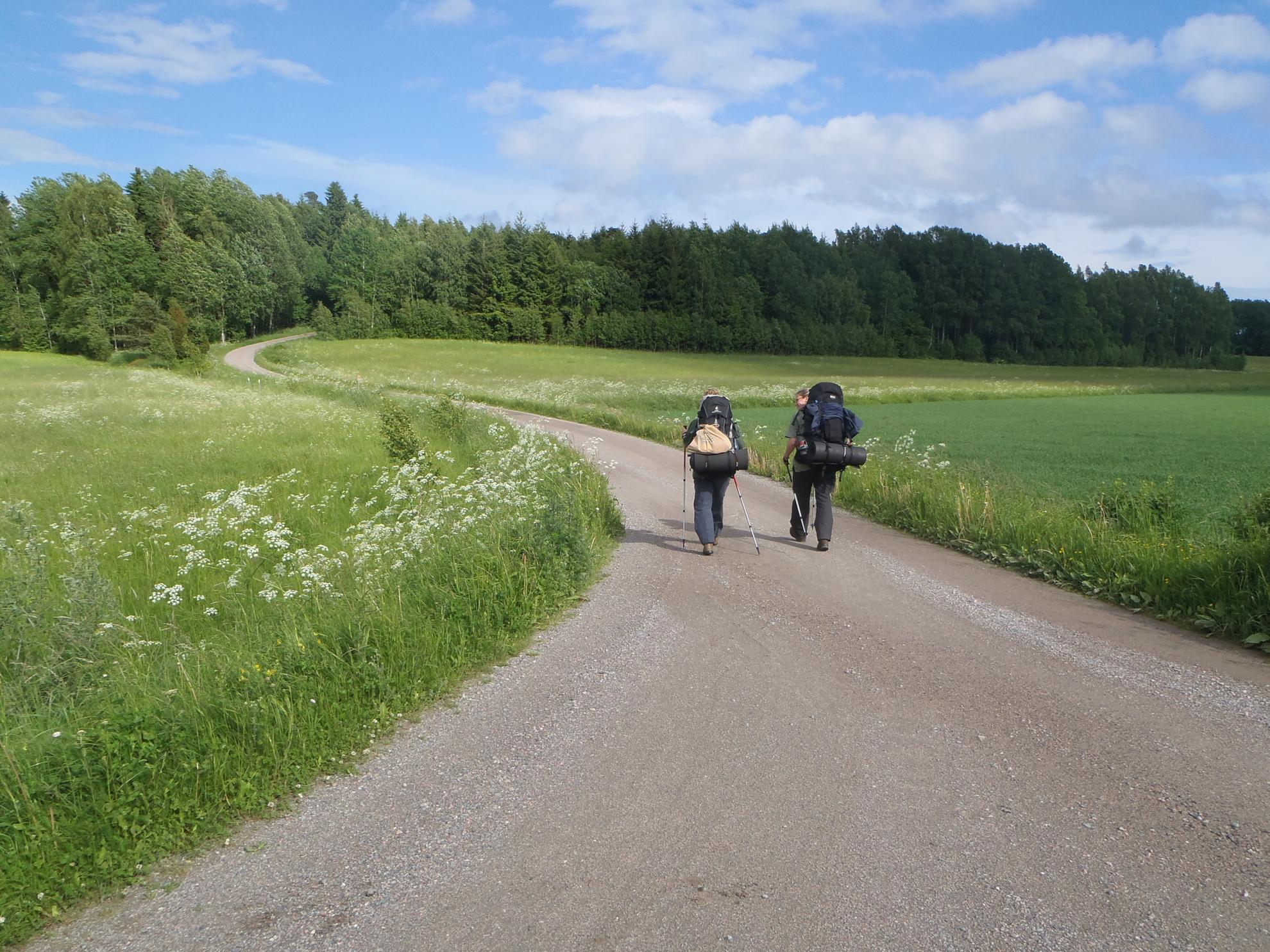 Zwei Personen mit großen Rucksäcken gehen auf einer Schotterstraße, die von Grasfeldern umgeben ist.
