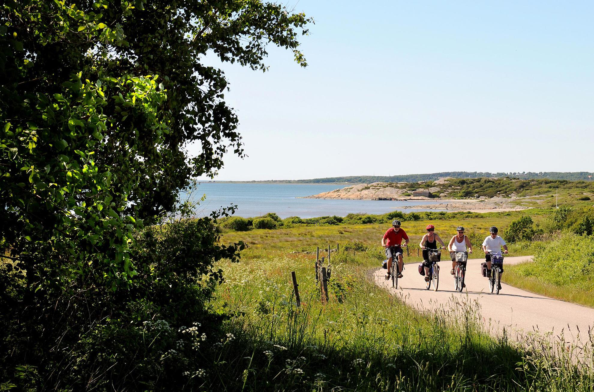 Vier Personen fahren mit ihrem Rad auf einem asphaltierten Radweg entlang der Küste