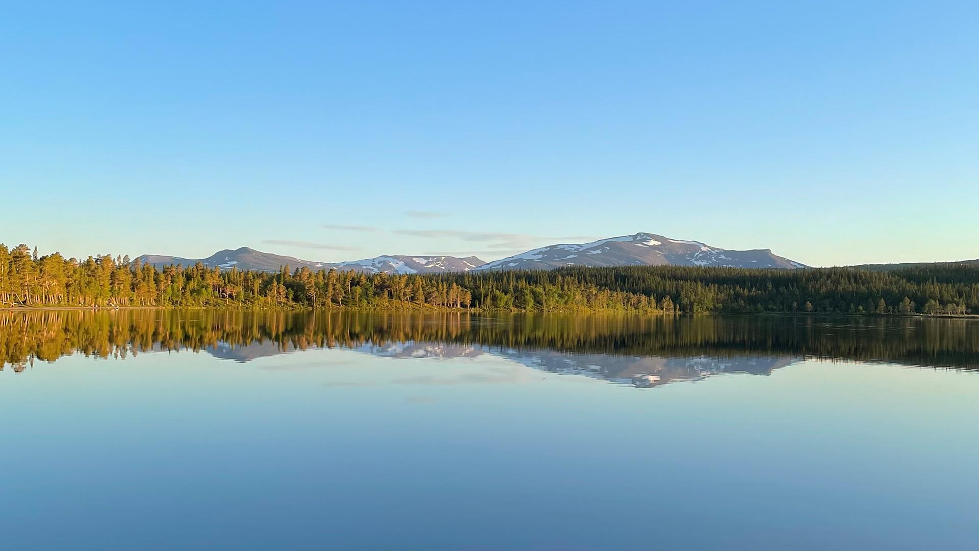 Das Wasser des Nulltjärn-Sees ist ruhig und spiegelt den blauen Himmel und die umliegenden Wälder und Berge wider.