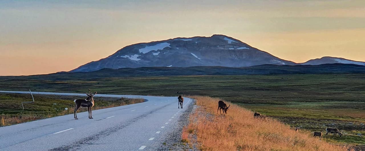 Vildmarksvägen - Route und Reisetipps | Visit Sweden