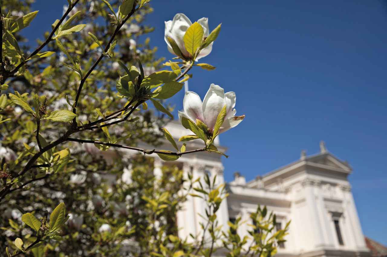 Lund eine Stadt mit Herz und Köpfchen Visit Sweden